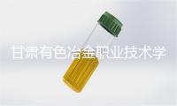 甘肃有色冶金职业技术学院：点燃产教融合“新引擎”蹚出实践育人特色路