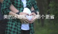 美的冰箱和冰柜哪个更省电
