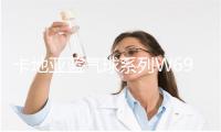 卡地亚蓝气球系列W6920098腕表 价格