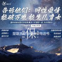 楚雄浪鲸马桶维修电话号码